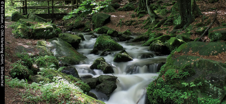 Bachlauf Silberbach