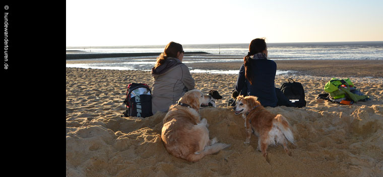 2 Frauen mit Rücken am strand