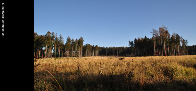 Wald & Flur